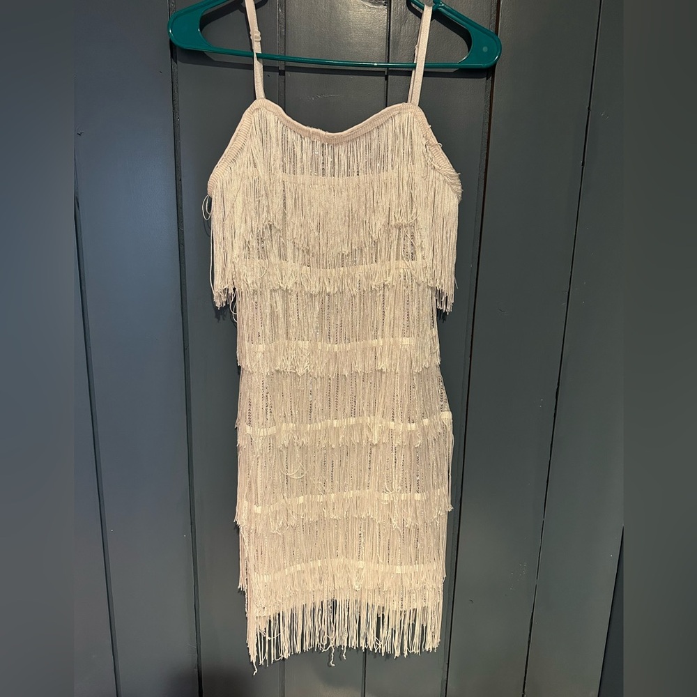 Fringe Sequin Dress. Size Small. Never Worn.